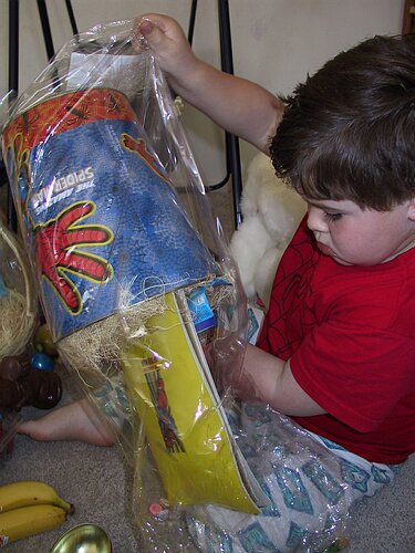 100-0039_IMG.JPG