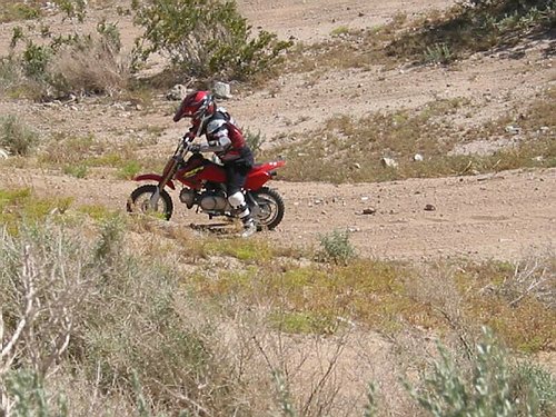 162-6231_IMG
