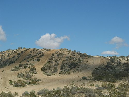 189-8990_IMG