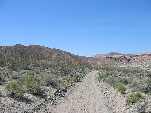 155_5559