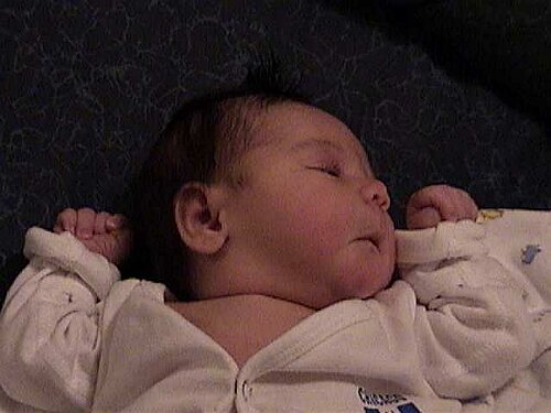 Alexis023.jpg
