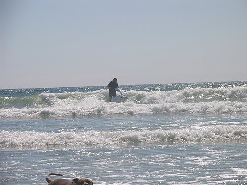 IMG_3763
